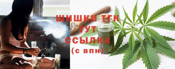 прущие грибы Нефтекумск