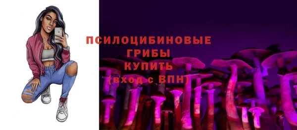 прущие грибы Нефтекумск