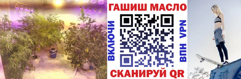 как найти   blacksprut вход  Дистиллят ТГК вейп  Кириши 