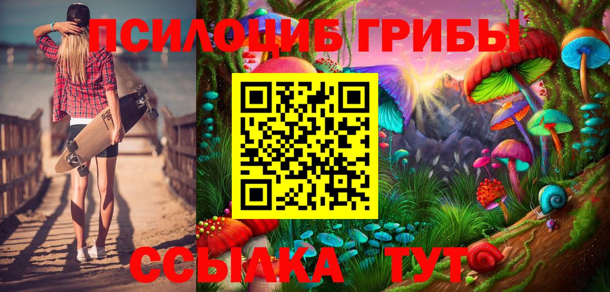 Псилоцибиновые грибы GOLDEN TEACHER Кириши