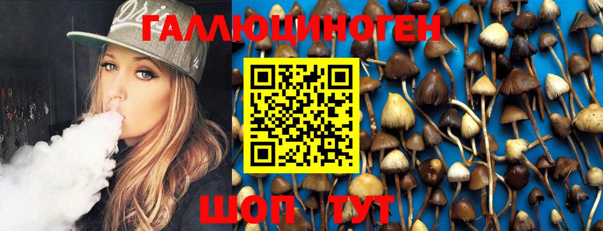 Псилоцибиновые грибы MAGIC MUSHROOMS  Вход с VPN  Кириши 