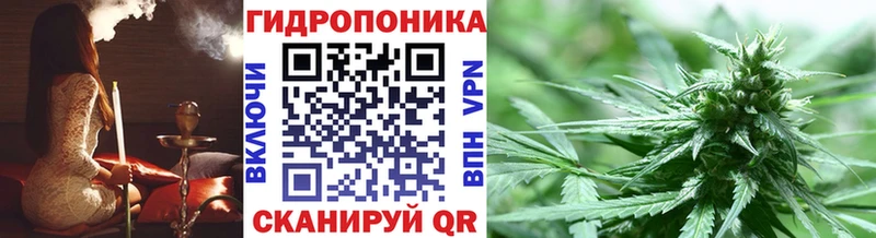 Бошки марихуана гибрид  продажа наркотиков  Кириши 